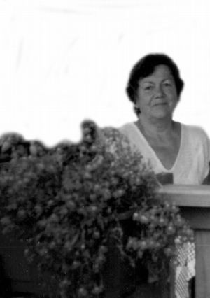 weber ludwika szare.jpg